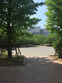 桜通り歯科クリニックへの行き方~東西線編~5
