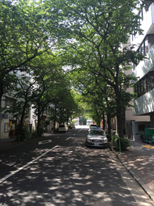 桜通り歯科クリニックへの行き方~東西線編~7