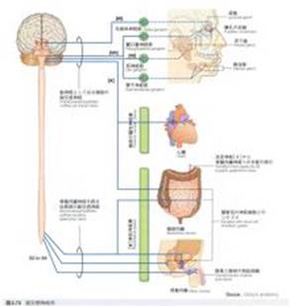 精神的症状について-その1-3