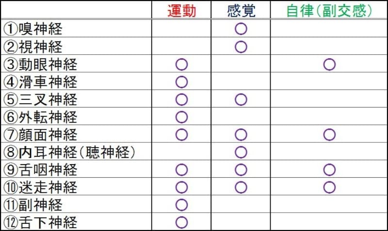 頭痛と噛み合わせの関係