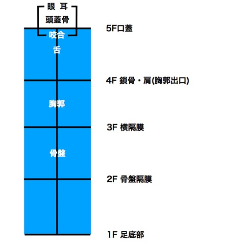 噛み合わせ